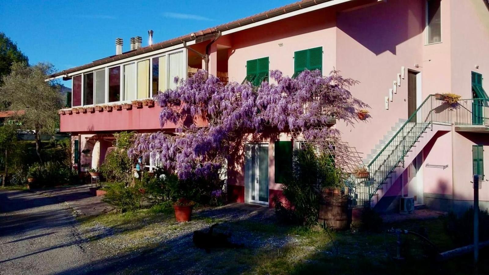La Casa Rosa Otel Borghetto di Vara Dış mekan fotoğraf